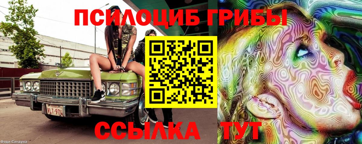 Галлюциногенные грибы Psilocybe  Псилоцибиновые грибы ЛСД  Вход с VPN  цена   Магадан 